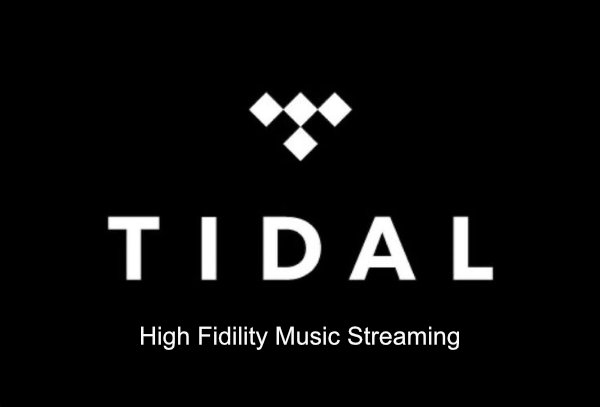 Tidal Logo